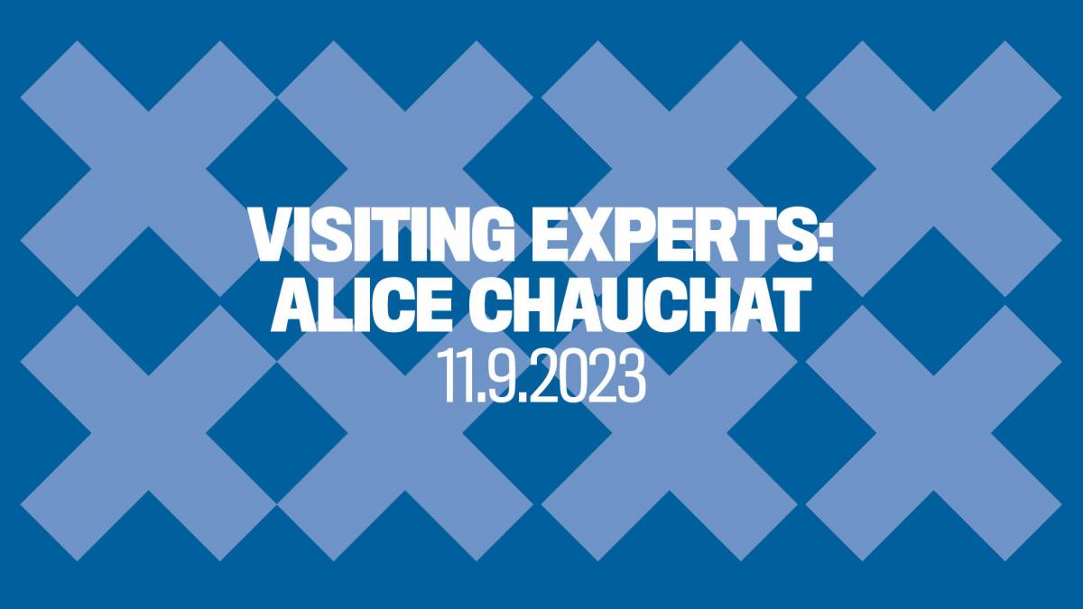 Visiting experts: Alice Chauchat, 11.9.2023